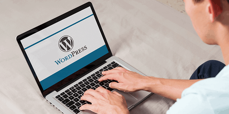 Should I use WordPress for my website?
