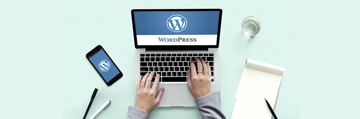 Top Protips to make your WordPress website more secure and faster
