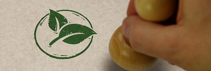 Sustainable Web Hosting: Why Eco-Friendly Hosting Matters for Your Business