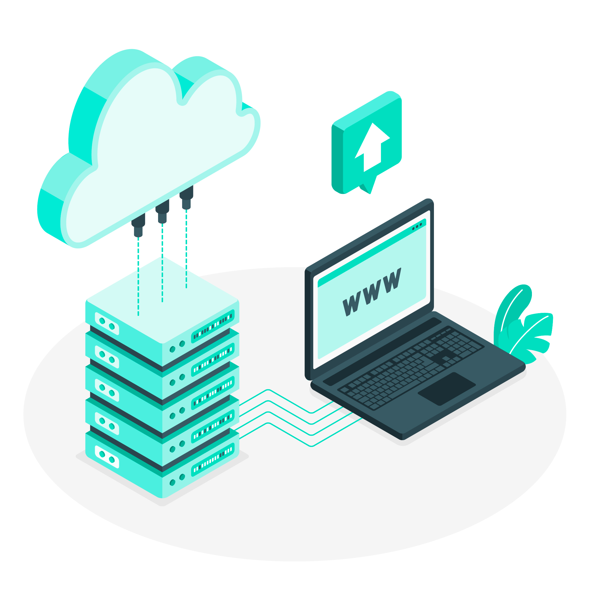 What are the Different Parts of a Domain Name