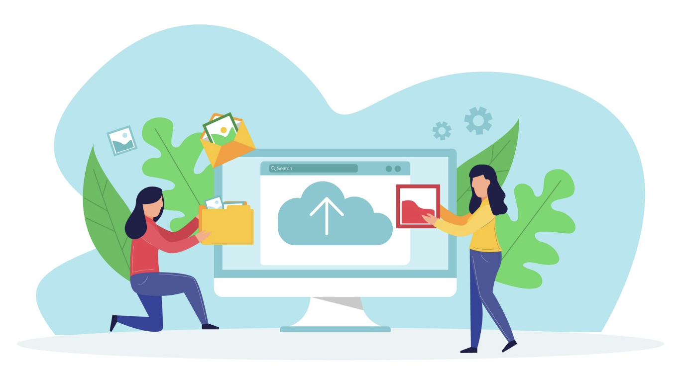 How to Bundle Your Website, Hosting, and Email on Black Friday?