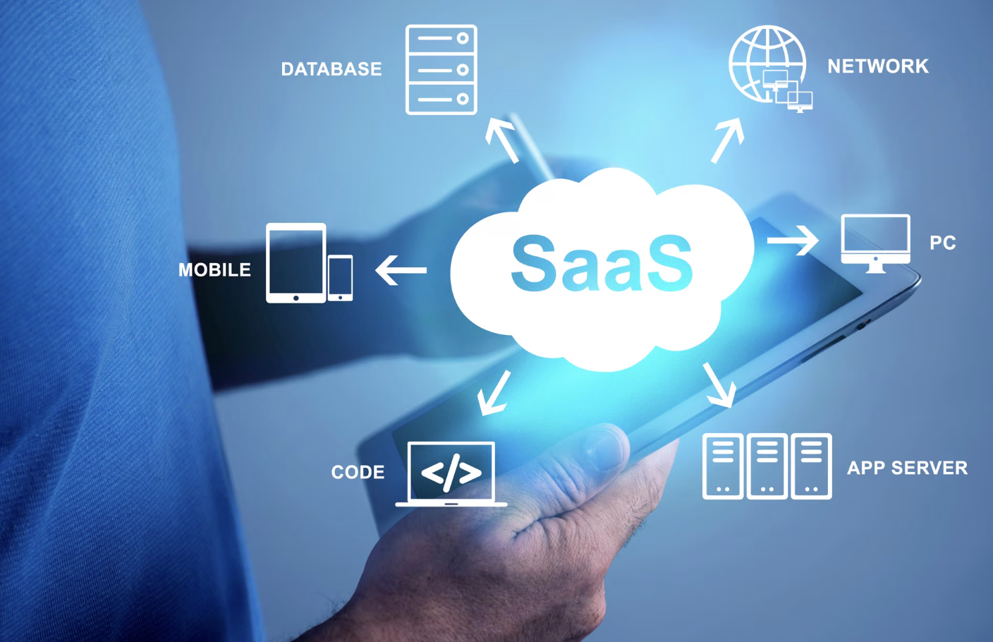 Innovative SaaS Solutions Target Domain Portfolio Management